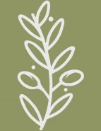 logotipo de Verde Olivo Flores y Café